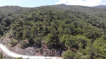 Çanakkale Valiliğinden orman yangını uyarısı