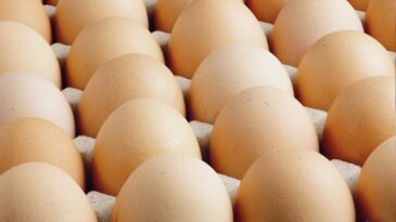 ABD’de milyonlarca yumurta salmonella şüphesiyle geri çağırıldı